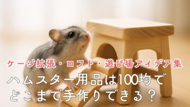 ハムスター用品は100均でどこまで手作りできる？ケージ拡張・ロフト・遊び場アイデア集